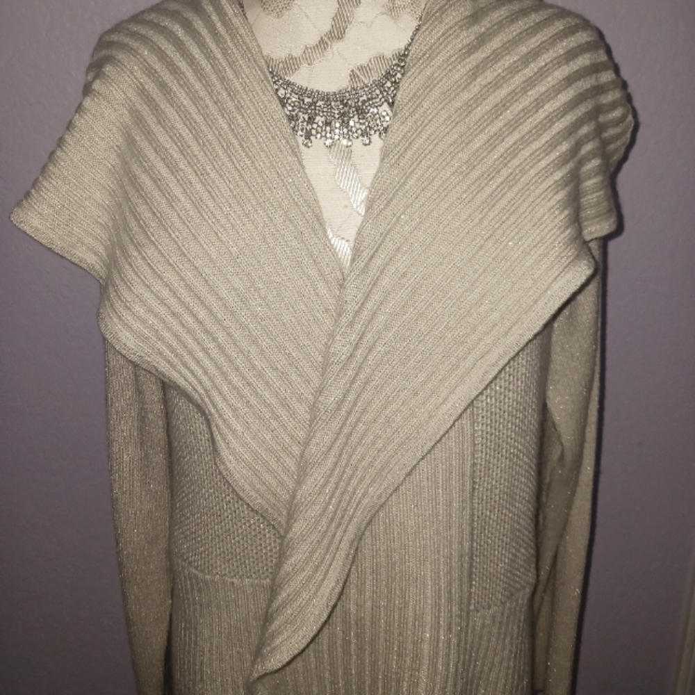 💥 CHICO's Sz L  Sweater